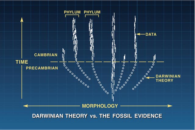 Darwinian theory vs. the fossil evidence