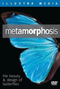 Metamorphosis: The Beauty and Design of Butterflies